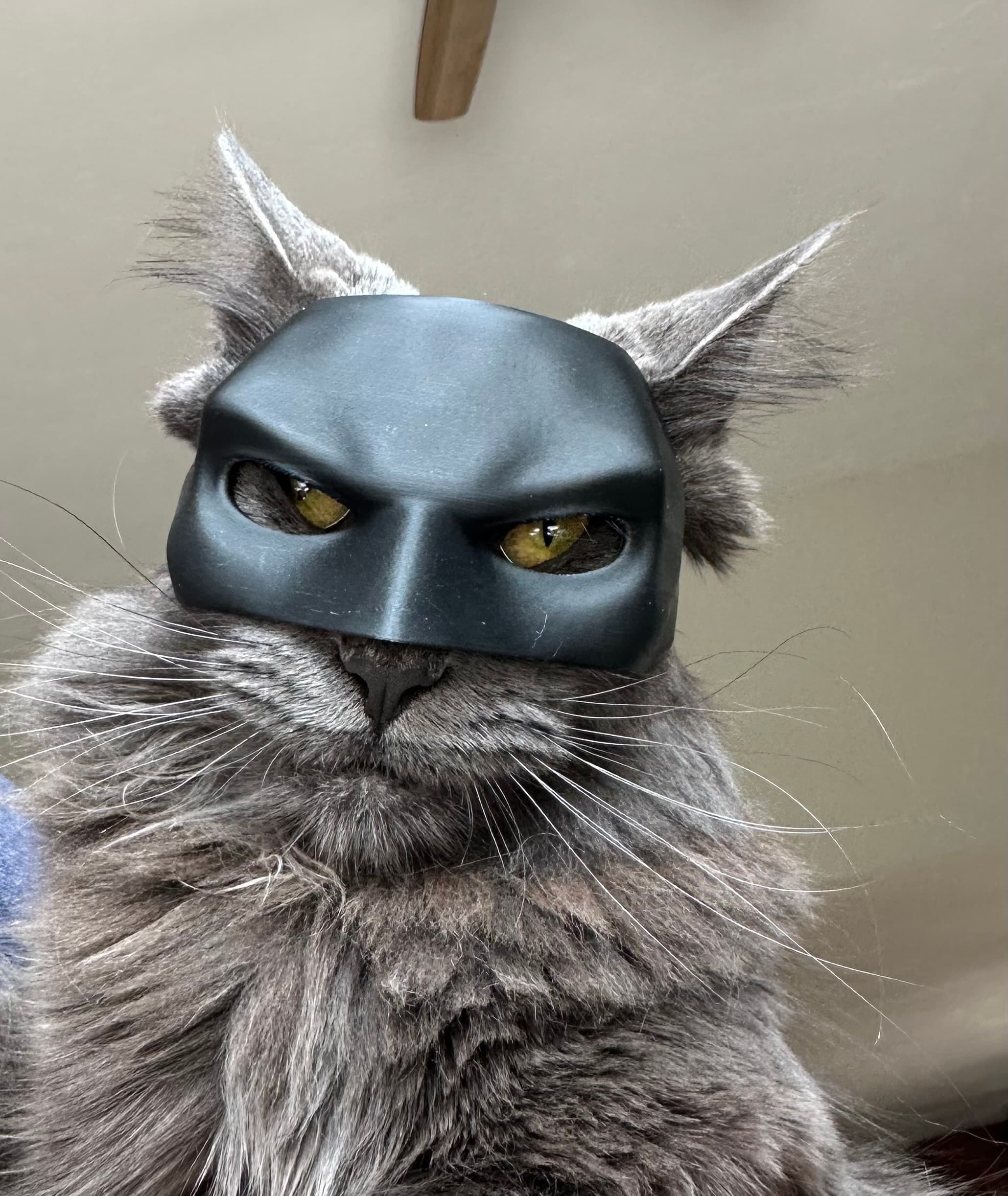 Rey in a Batman mask